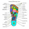 TOCARpic_Reflexology_-chart2.jpg (232432 bytes)